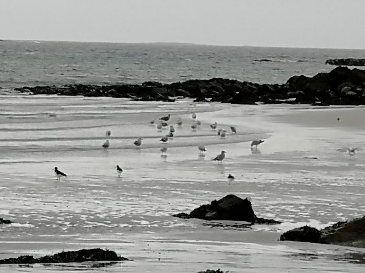 The Fisherman'S Snug Self Catering North Uist Paible Экстерьер фото