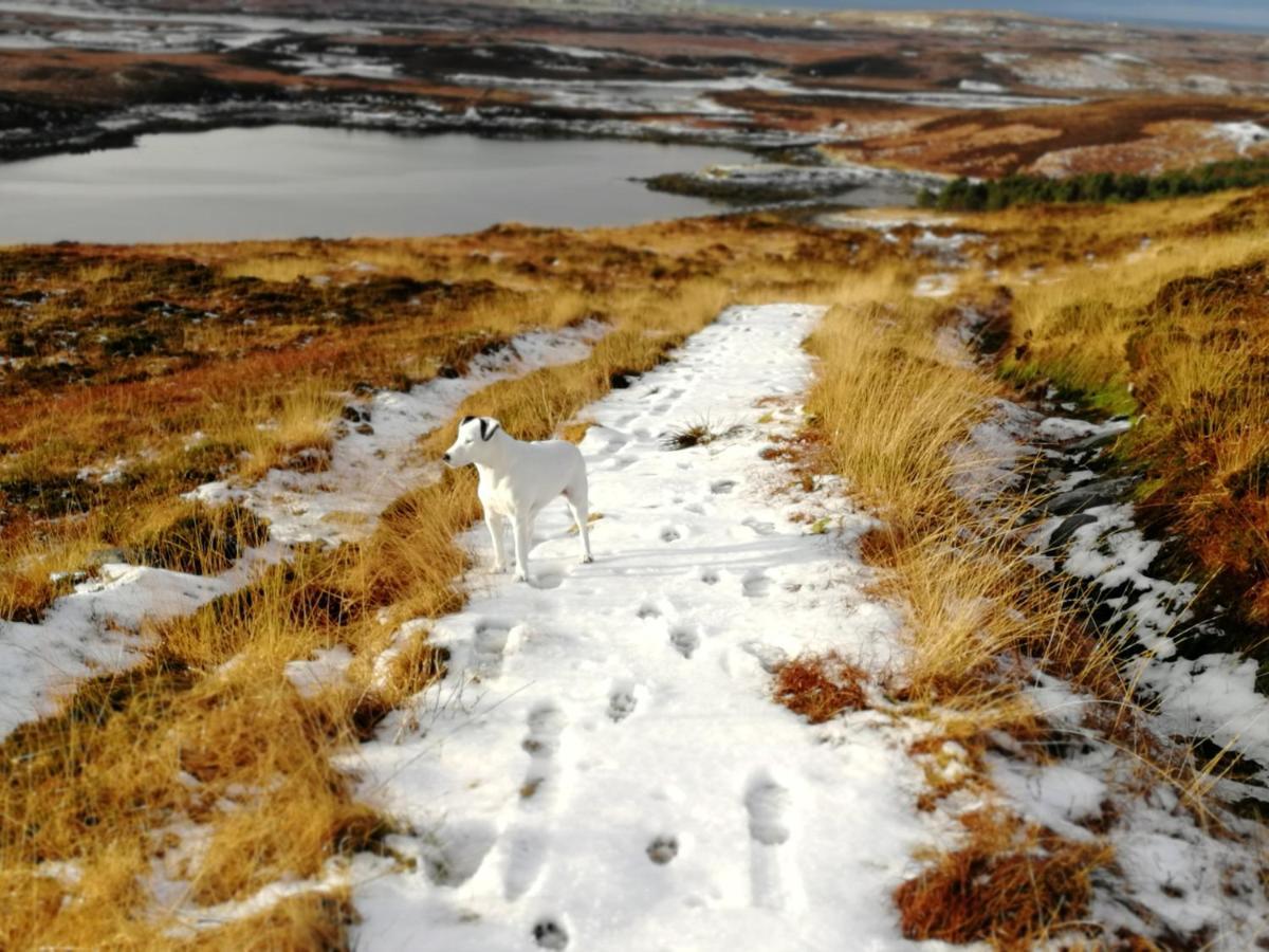 The Fisherman'S Snug Self Catering North Uist Paible Экстерьер фото