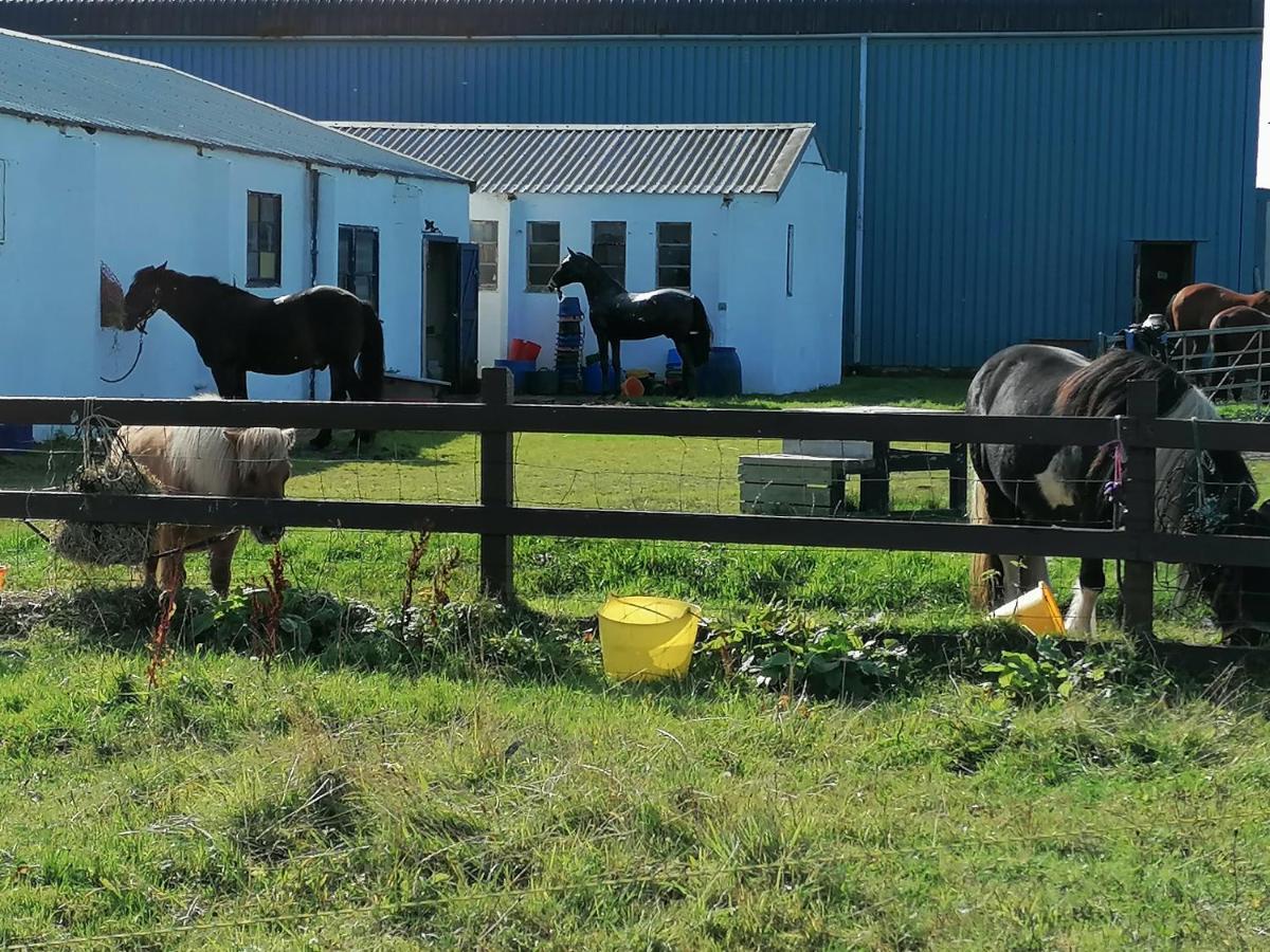 The Fisherman'S Snug Self Catering North Uist Paible Экстерьер фото