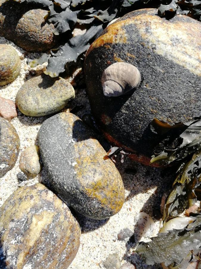 The Fisherman'S Snug Self Catering North Uist Paible Экстерьер фото