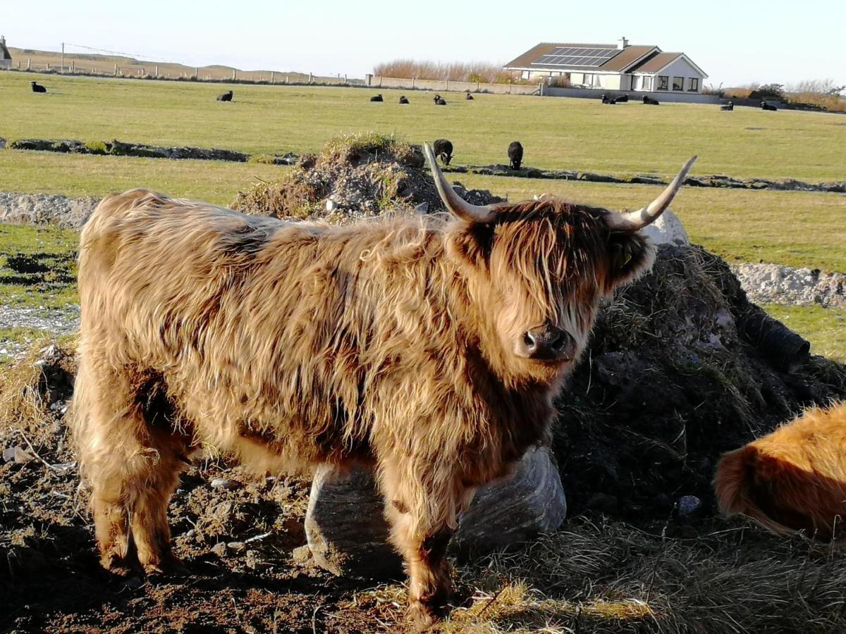 The Fisherman'S Snug Self Catering North Uist Paible Экстерьер фото